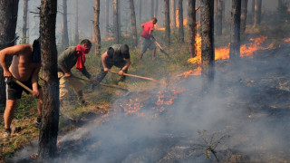 Локализираха пожара край Свиленград