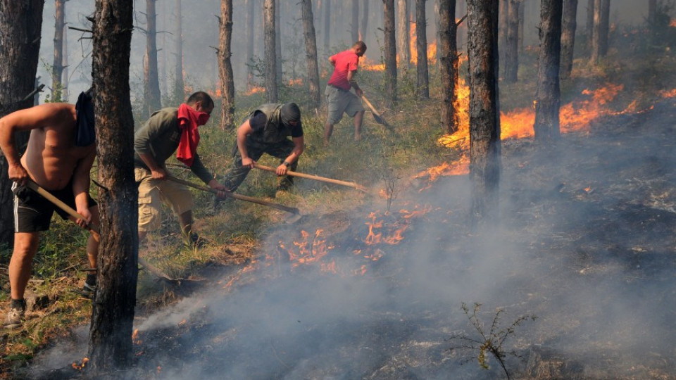 Локализираха пожара край Свиленград | StandartNews.com