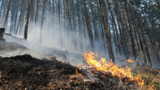 Военни гасят пожар при Малко Кирилово и Лесово