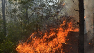 Продължава гасенето на пожара край Лесово