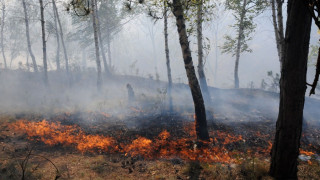 Още един пожар в Свиленградско