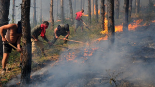 Пожарът край Лесово е овладян