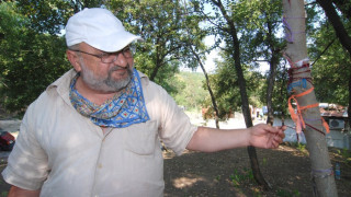 Стъпката на Дева Мария лекува