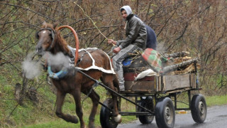 Община забрани каруците нощем заради кражби