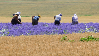 Двойни помощи за фермерите