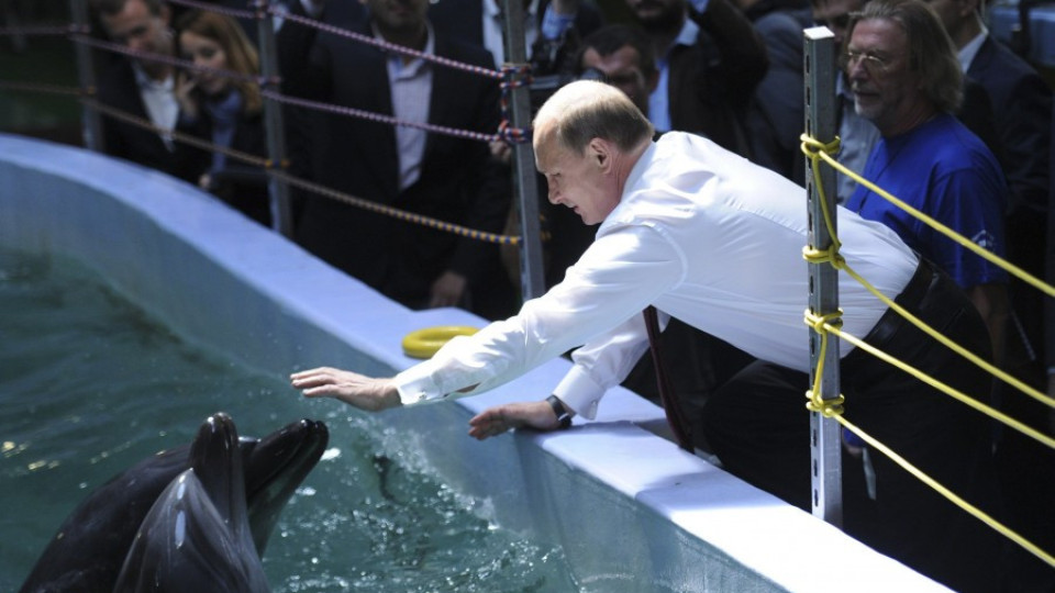 Путин храни делфини и моржове | StandartNews.com