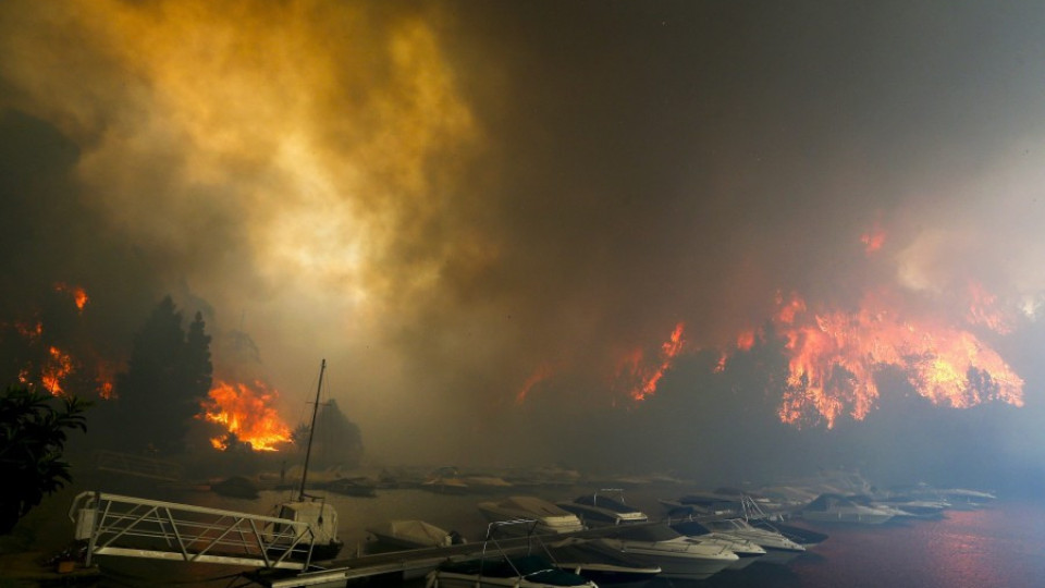 Нови горски пожари в Португалия | StandartNews.com