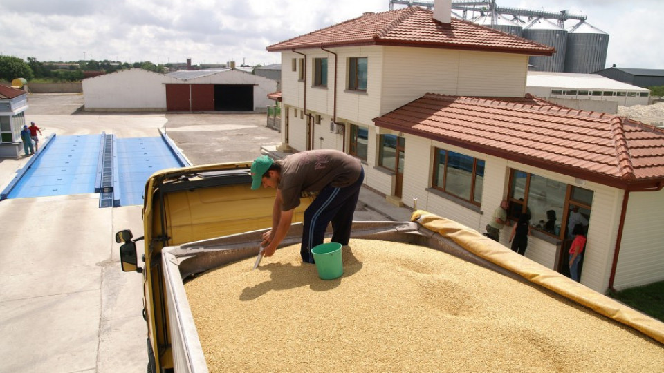 Рентата пада заради евтиното зърно | StandartNews.com