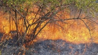 Локализираха пожара край Панагюрище