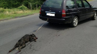 Мъжът, влачил куче с кола, получи условна присъда  