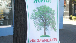Фейсбук група защитава зеленото богатство в Стара Загора