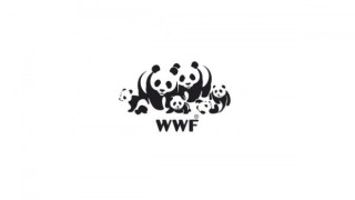 WWF: Спрете инвестициите в изкопаеми горива