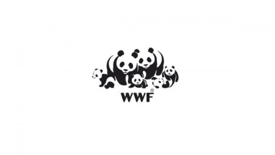 WWF: Спрете инвестициите в изкопаеми горива | StandartNews.com