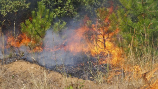 Пожар изпепели 2500 бали с люцерна