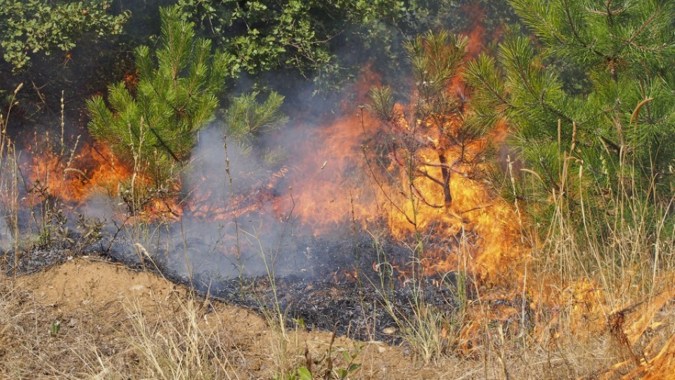 Пожар изпепели 2500 бали с люцерна | StandartNews.com