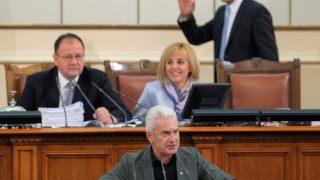 Волен: Пазете ни като стайно цвете