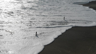 Вълни отнесоха част от плажа на Бургас