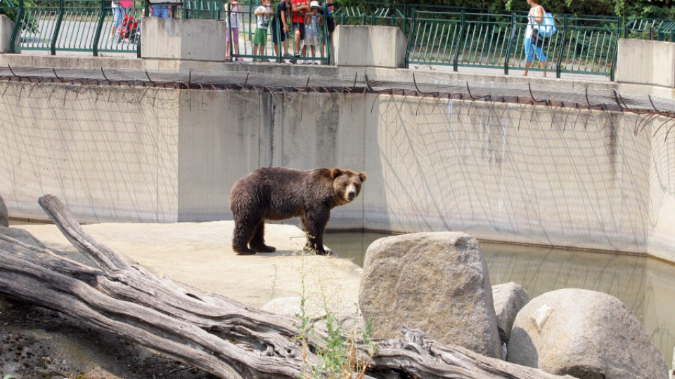 Само зоологическата градина в Добрич отговаря на закона | StandartNews.com