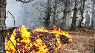 1200 бали слама изгоряха в Кърджалийско 