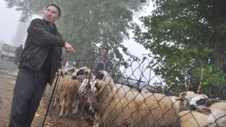 Кочът е родопският Дау Джонс за Байрама