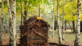 Екобригада гради хотел за таралежи и баня за птици