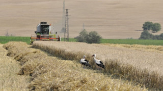 Поскъпва земеделската земя у нас