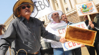 Пчелари сипят пчелен прашец в знак на протест 