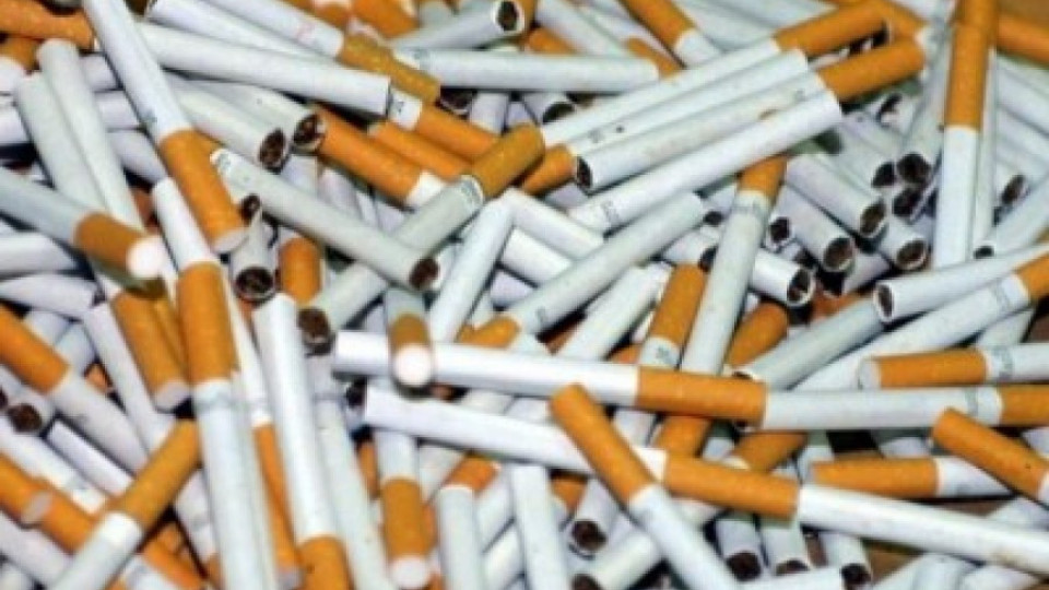 Тютюнопроизводители с изложение в село Нова Черна | StandartNews.com