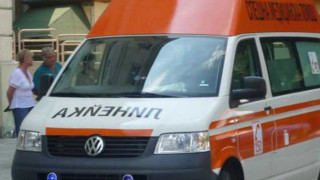 Дърво уби мъж пред очите на жена му и шурея му