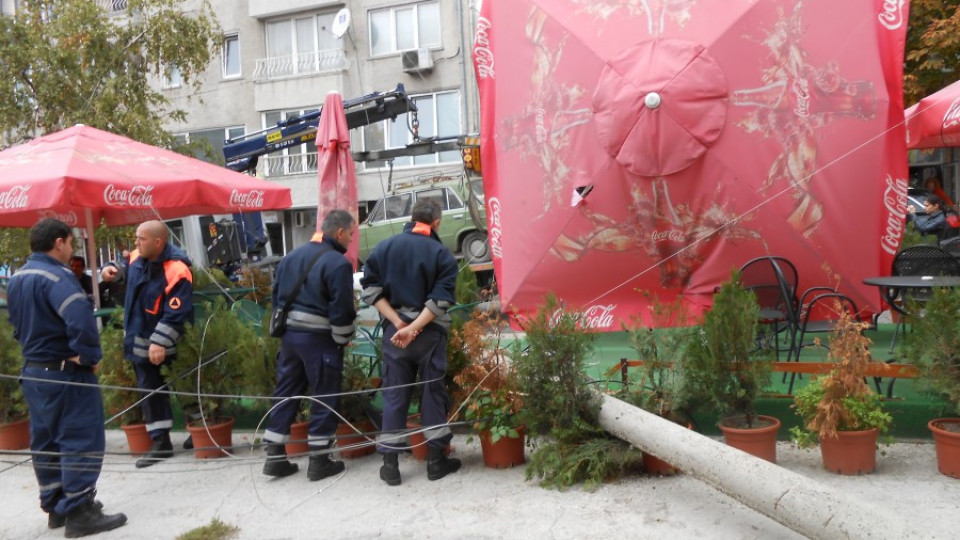 Паяк събори стълб върху кафене във Варна | StandartNews.com