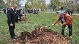 Софрониева гора избуява във Враца