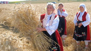 Скриха житото след изгодни сделки с рапица и ечемик