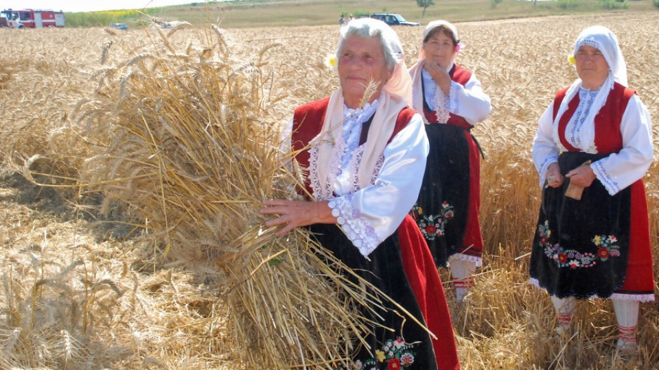 Скриха житото след изгодни сделки с рапица и ечемик | StandartNews.com
