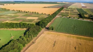 Нивите край морето поскъпнали със 138 %