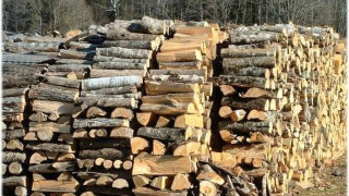 Полиция разпръсна протестиращи срещу скъпите дърва за огрев