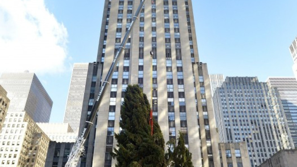 23-метрова елха украсява Ню Йорк (СНИМКИ) | StandartNews.com
