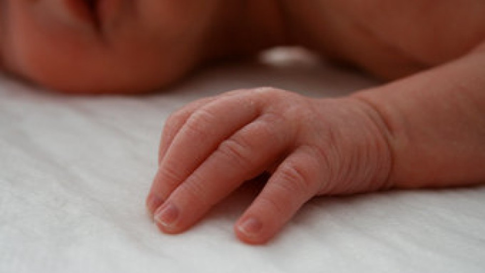 Осиновителите с 1 г. майчинство | StandartNews.com