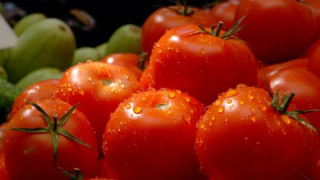 Откриха отровни домати с бром в Пловдив