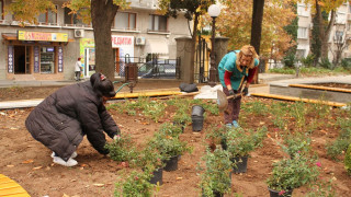 Палят коледната елха на 1 декември в Стара Загора