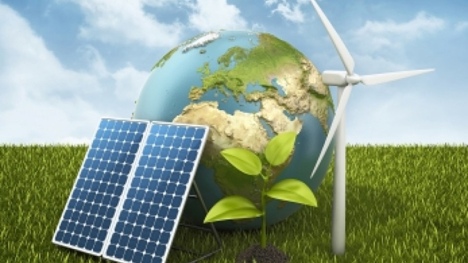Фотоволтаици очакват фалити на производители на зелена енергия | StandartNews.com