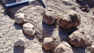 Археолози намериха най-старата тоалетна