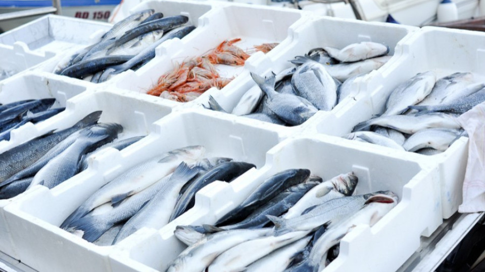 Чака ни по-скъпа риба за Никулден | StandartNews.com