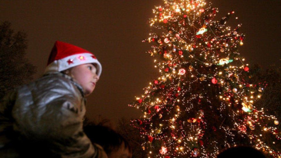 Запалваме светлините на коледната елха в столицата | StandartNews.com