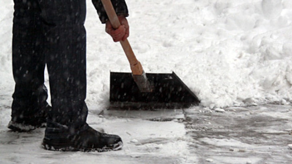 Началници ринат сняг в "Лудогорец" | StandartNews.com