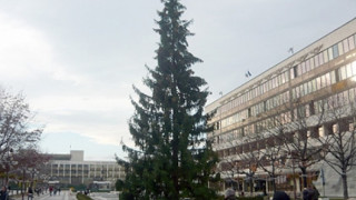 35-метрова елха грейва в Благоевград на 5 декември