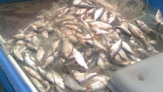 Полиция хвана банда бракониери с над 1 тон риба