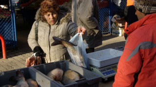 Ядем 3 пъти по-малко риба отколкото в Европа