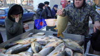 Бракониери нахраниха сираци 