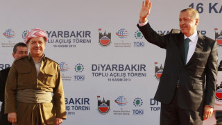 Ердоган иска доклад за нашите дипломи