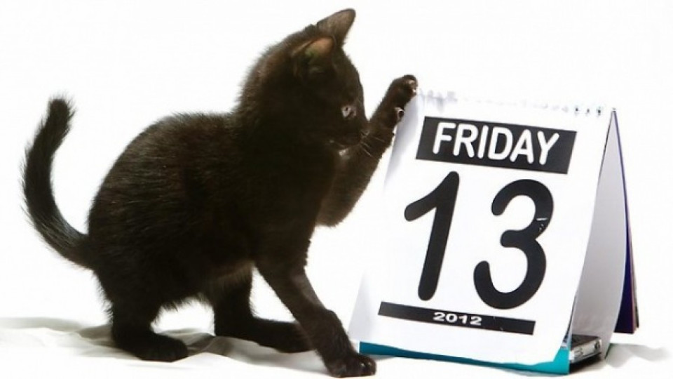 Черна котка или бял котарак | StandartNews.com